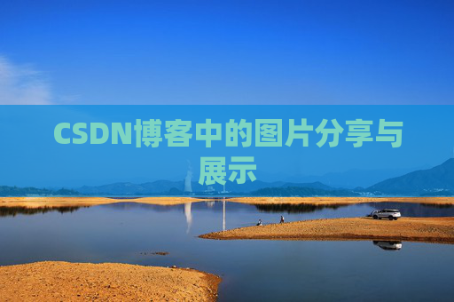 CSDN博客中的图片分享与展示